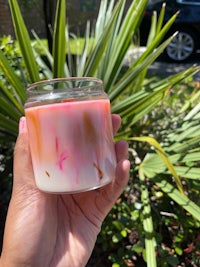 a hand holding a pink and white candle in front of a palm tree